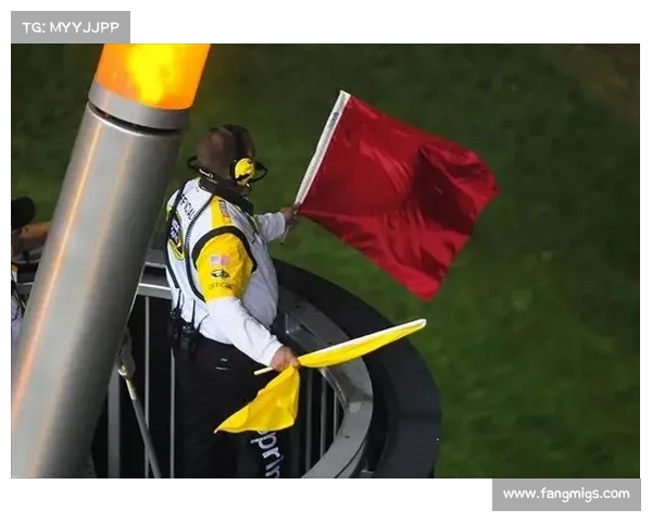 赛事旗语(赛车比赛旗帜意思)